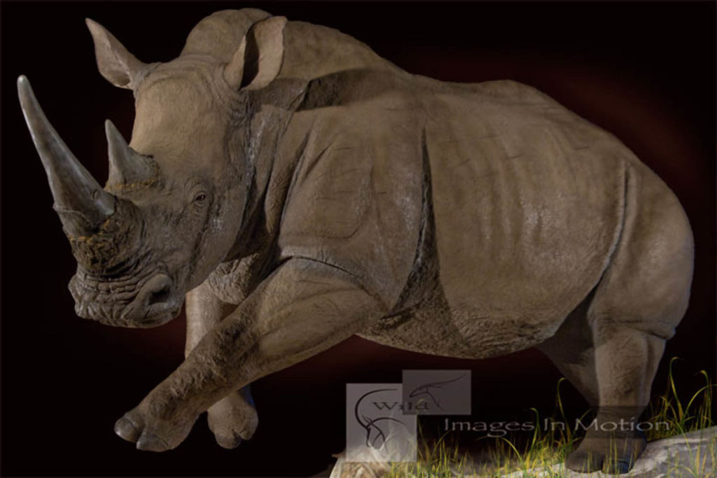 reproduction-life-size-rhino | Wild Images In Motion