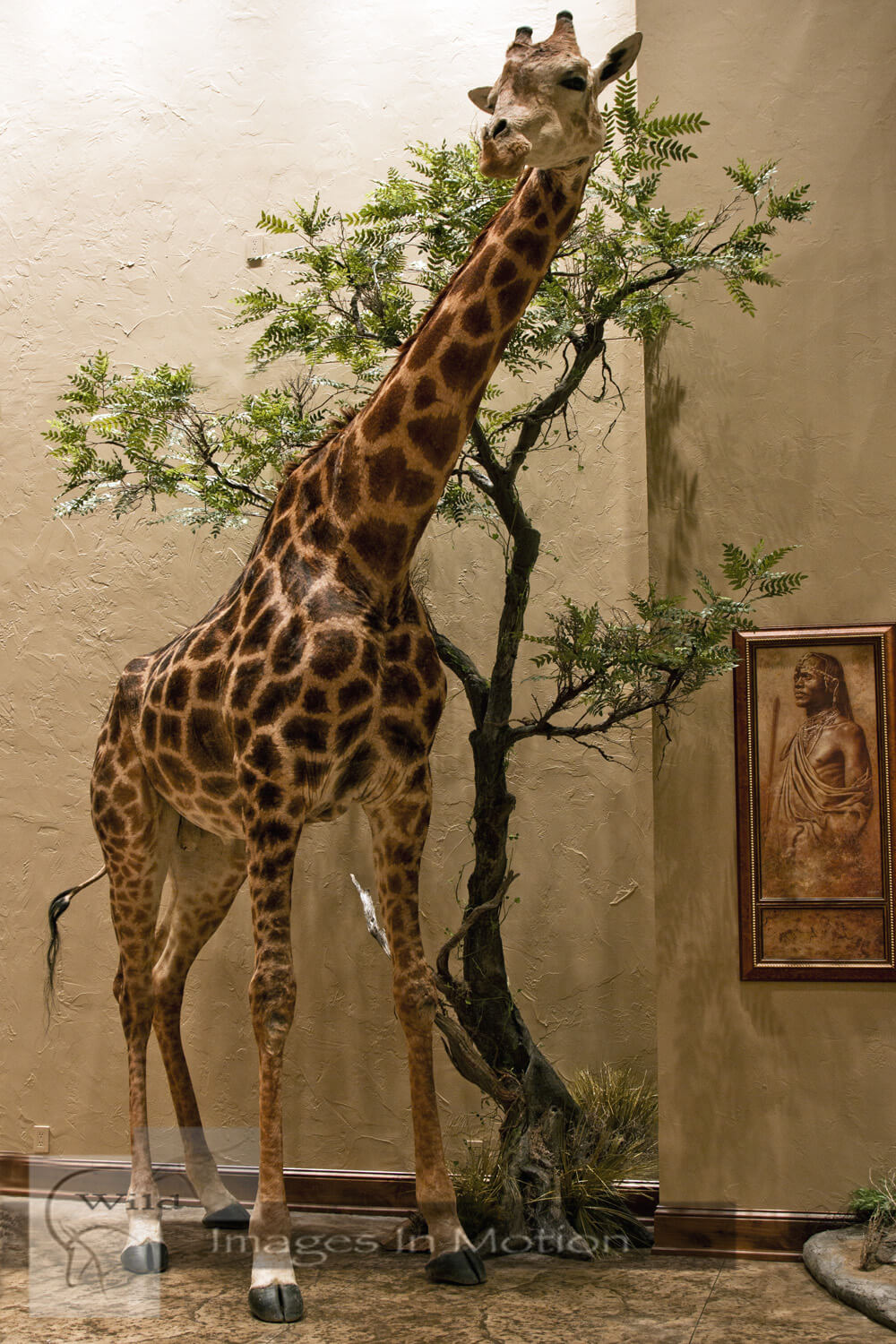 Giraffe and artificial tree
