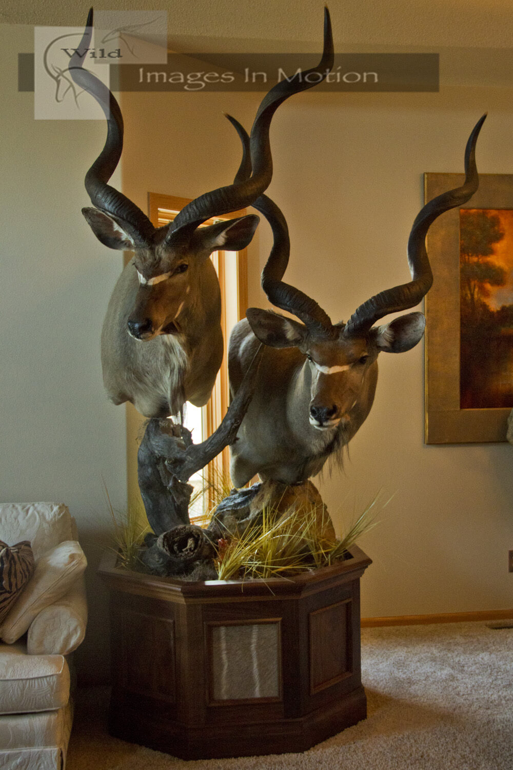 Kudu Double Pedestal