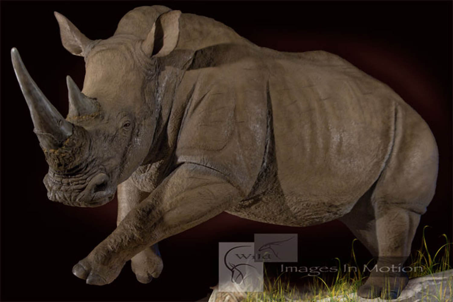 Reproduction Life-size Rhino