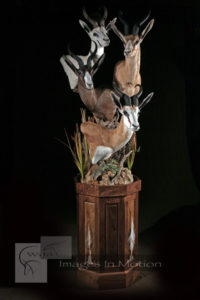 springbok-slam-pedestal