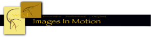 Wild Images In Motion Logo
